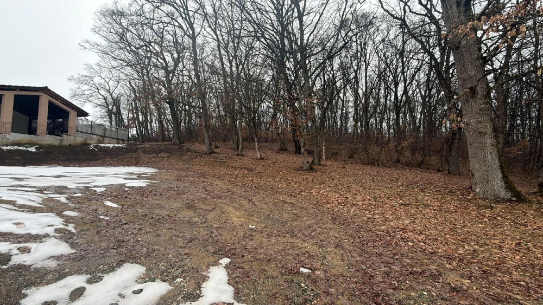 Teren intravilan la liziera pădurii – zonă liniștită- valea budacului - Vă propunem spre vânzare un teren intravilan cu poziționare deosebită, situat pe strada V. Budacului din Bistrița, într-o zonă verde și liniștită, chiar la liziera pădurii. Terenul are o suprafață de aproximativ 559 mp, fiind ideal pentru construirea unei locuințe într-un cadru natural, cu multă intimitate. front stradal :35 metri Avantaje: Acces direct din drum asfaltat Toate utilitățile disponibile Zonă aerisită, aproape de natură În apropiere de cartierul RAAL Această proprietate oferă combinația perfectă între liniștea naturii și accesul rapid către oraș, fiind potrivită pentru cei care își doresc să construiască într-o zonă bine poziționată și în plină dezvoltare. }}