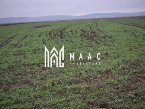 Teren extravilan | Gura raului | 2250 MP