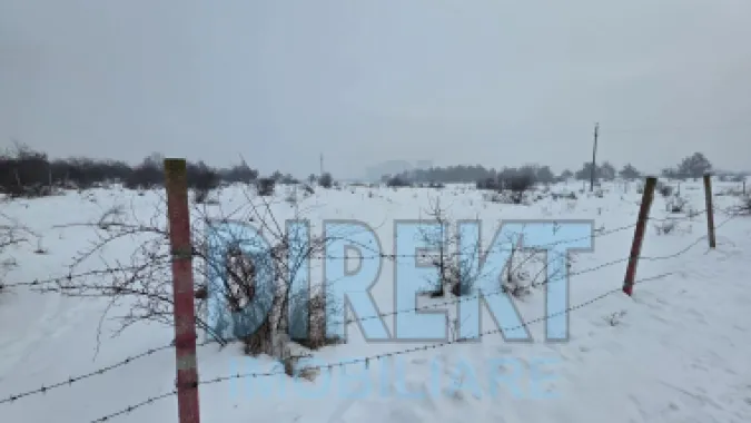 Logo DIREKT IMOBILIARE logo