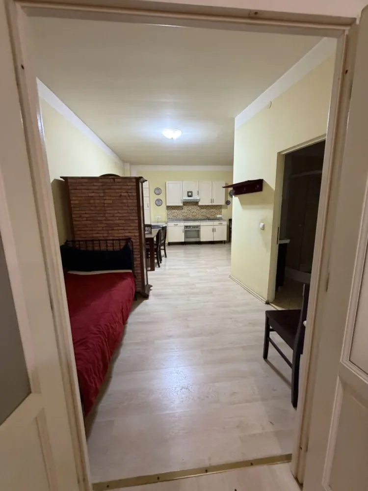 Apartament 1 dormitor , zona Parcul Municipal ! - Agentia Direkt Imobiliare propune spre inchiriere apartament spatios la casa , situat in zona centrala , pe strada Albert Berger , etaj 1 . Imobilul are o suprafata utila de cca 60 mp si este compus din bucatarie si living open space , baie , 1 dormitor cu baie . Se inchiriaza mobilat in totalitate , dispune de curte interioara comuna . }}