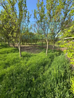 Casa 3 camere , 500 mp teren , zona C.R.Vivu