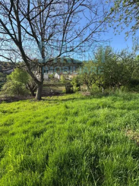 Casa 3 camere , 500 mp teren , zona C.R.Vivu