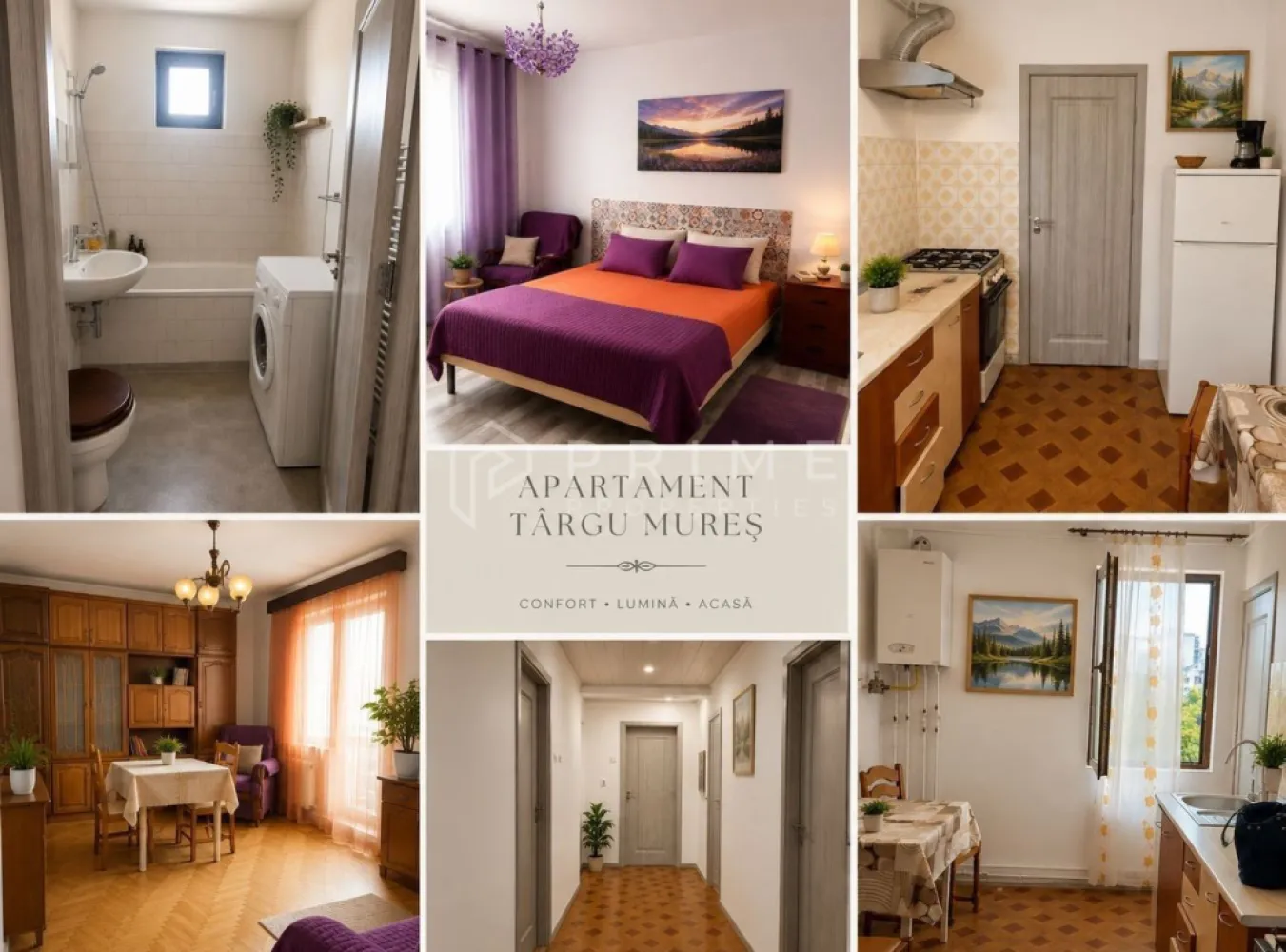 Apartament 2 camere de vânzare – Târgu Mureș, Str. Rodniciei - Vă propunem spre vânzare un apartament cu 2 camere, situat pe strada Rodniciei, într-o zonă liniștită și extrem de căutată din Târgu Mureș. Poziționat la etajul 3, apartamentul oferă un potențial extraordinar pentru a fi transformat în locuința ideală, beneficiind deja de îmbunătățiri esențiale.

Detalii tehnice și compartimentare:

Suprafață: Compartimentare practică și luminoasă, formată din living spațios, dormitor, bucătărie, baie, hol și cămară.

Spațiu exterior: Balcon inclus, perfect pentru relaxare.

Îmbunătățiri recente: Apartamentul dispune de geamuri termopan noi și uși interioare recent înlocuite.

De ce să alegeți această proprietate?

Localizare strategică: Situat la doar 2 minute de mers pe jos de Școala Gimnazială "Tudor Vladimirescu". Proximitatea față de școli, magazine și mijloace de transport îl face ideal pentru o familie sau ca investiție pentru închiriere.

Potențial de personalizare: Locuința este ideală pentru renovare, oferind noului proprietar libertatea deplină de a o amenaja după propriile preferințe și stil, fără a fi condiționat de investițiile anterioare ale altora.

Ambient: O zonă aerisită și liniștită, care asigură confortul necesar unui stil de viață modern.

Promisiunea Prime Properties
La Prime Properties, fiecare tranzacție înseamnă mai mult decât o simplă achiziție – este un proces complet, în care colaborăm cu cei mai buni profesioniști: notari, avocați, evaluatori, specialiști în certificate energetice și consultanți de credite imobiliare. Astfel, atunci când alegi o proprietate prin noi, primești la pachet siguranță, transparență și servicii impecabile pe tot parcursul drumului tău către casa ideală.