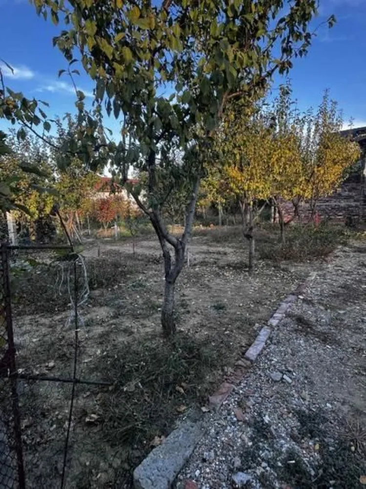 BRASADAS vinde casa in zona 14 Mai.