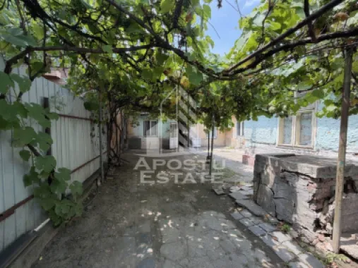 Casa de vanzare, teren 225 mp, zona Fratelia, Bujorilor, Timisoara