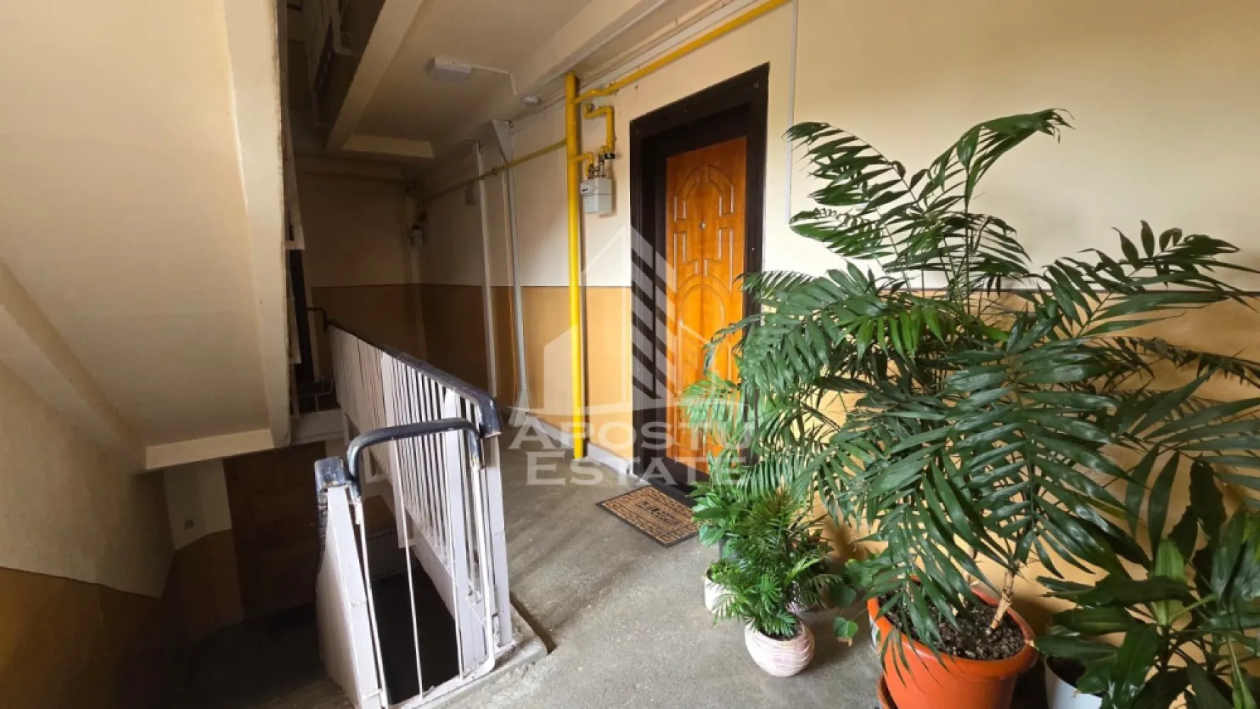Apartament 2 camere de vanzare, zona Lipovei, Timisoara
