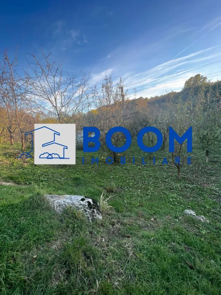 Casa cu livada | Bujoreni | 1550 mp - MAAC Imobiliare vă propune spre vânzare o casă bătrânească, situată în comuna Bujoreni, zona Gura Văii, într-un cadru natural deosebit, perfect pentru cei care își doresc liniște, aer curat și apropierea de oraș.

Proprietatea are o suprafață construită de 80 mp și este amplasată pe un teren generos de 1.550 mp, pe care se află și o livadă cu pomi fructiferi.

Caracteristici principale:

* Suprafață construită: 80 mp
* Suprafață teren: 1.550 mp
* Deschidere generoasă la drum principal
* Categorie teren: intravilan
* Utilități disponibile:

* Apă curentă
* Energie electrică
* Gazele se află la limita proprietății
* Acces facil direct din drum
* Pe teren se află o livadă bine întreținută, ideală pentru relaxare sau grădinărit

Locație:

Proprietatea este situată în Gura Văii, Bujoreni, pe drumul care duce către Mănăstirea Frăsinei, la o distanță de aproximativ 10-15 minute de Râmnicu Vâlcea.
Zona este una liniștită, cu acces facil și vecinătăți îngrijite, ideală pentru o locuință permanentă sau o casă de vacanță.

O oportunitate excelentă pentru cei care caută o proprietate cu potențial, cu deschidere generoasă la stradă, într-o zonă frumoasă și ușor accesibilă, aproape de oraș, dar în mijlocul naturii!

Pentru mai multe detalii sau pentru programarea unei vizionări, contactați echipa MAAC Imobiliare, specificand ID: CP2796900 - SP