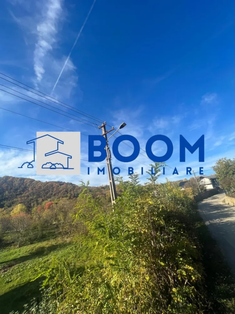 Teren | Vladesti | 1000 MP - BOOM Imobiliare vă propune spre vânzare un teren intravilan situat la intrarea în localitatea Vlădești, pe o stradă laterală, la aproximativ 400 de metri de drumul principal ce duce către Băile Olănești**.

Proprietatea oferă o suprafață totală de 1.000 mp, cu deschidere generoasă de circa 25 metri la drum, fiind potrivită pentru construcția unei case de locuit, a unei vile sau chiar a unei pensiuni.

Caracteristici principale:

* Suprafață totală: 1.000 mp
* Deschidere: aprox. 25 m
* Regim juridic: intravilan
* Teren drept, ușor accesibil
* Se poate parcela în două loturi egale de 500 mp fiecare – ideal pentru două locuințe individuale sau pentru investiție
* Utilități la limita proprietății:

 * Gaz
 * Curent electric
 * Apă
 * Canalizare

Locație:

Terenul este amplasat într-o zonă liniștită și aerisită, cu acces facil către orașul Râmnicu Vâlcea (doar câteva minute de mers cu mașina) și către stațiunea Băile Olănești.
Amplasamentul oferă un echilibru perfect între liniștea de la marginea orașului și proximitatea față de principalele puncte de interes.

O oportunitate excelentă pentru cei care doresc să construiască o locuință modernă într-o zonă verde și liniștită sau pentru investitori care caută terenuri cu potențial de dezvoltare!

Pentru mai multe detalii sau pentru programarea unei vizionări, contactați echipa BOOM Imobiliare si specificati ID: CP3195753