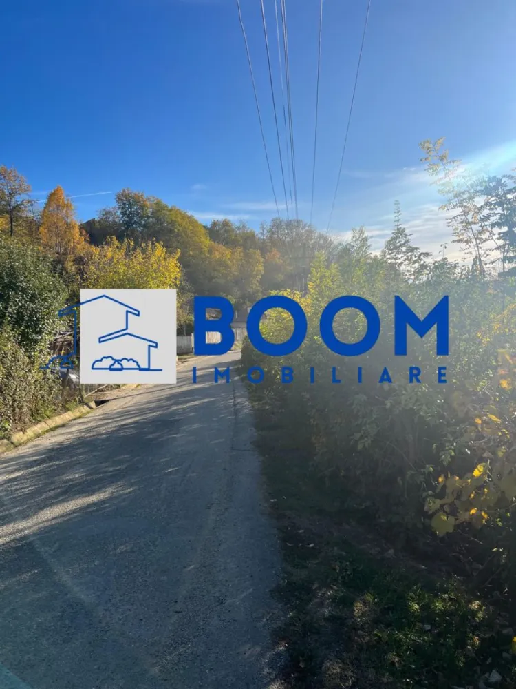 Teren | Vladesti | 1000 MP - BOOM Imobiliare vă propune spre vânzare un teren intravilan situat la intrarea în localitatea Vlădești, pe o stradă laterală, la aproximativ 400 de metri de drumul principal ce duce către Băile Olănești**.

Proprietatea oferă o suprafață totală de 1.000 mp, cu deschidere generoasă de circa 25 metri la drum, fiind potrivită pentru construcția unei case de locuit, a unei vile sau chiar a unei pensiuni.

Caracteristici principale:

* Suprafață totală: 1.000 mp
* Deschidere: aprox. 25 m
* Regim juridic: intravilan
* Teren drept, ușor accesibil
* Se poate parcela în două loturi egale de 500 mp fiecare – ideal pentru două locuințe individuale sau pentru investiție
* Utilități la limita proprietății:

 * Gaz
 * Curent electric
 * Apă
 * Canalizare

Locație:

Terenul este amplasat într-o zonă liniștită și aerisită, cu acces facil către orașul Râmnicu Vâlcea (doar câteva minute de mers cu mașina) și către stațiunea Băile Olănești.
Amplasamentul oferă un echilibru perfect între liniștea de la marginea orașului și proximitatea față de principalele puncte de interes.

O oportunitate excelentă pentru cei care doresc să construiască o locuință modernă într-o zonă verde și liniștită sau pentru investitori care caută terenuri cu potențial de dezvoltare!

Pentru mai multe detalii sau pentru programarea unei vizionări, contactați echipa BOOM Imobiliare si specificati ID: CP3195753