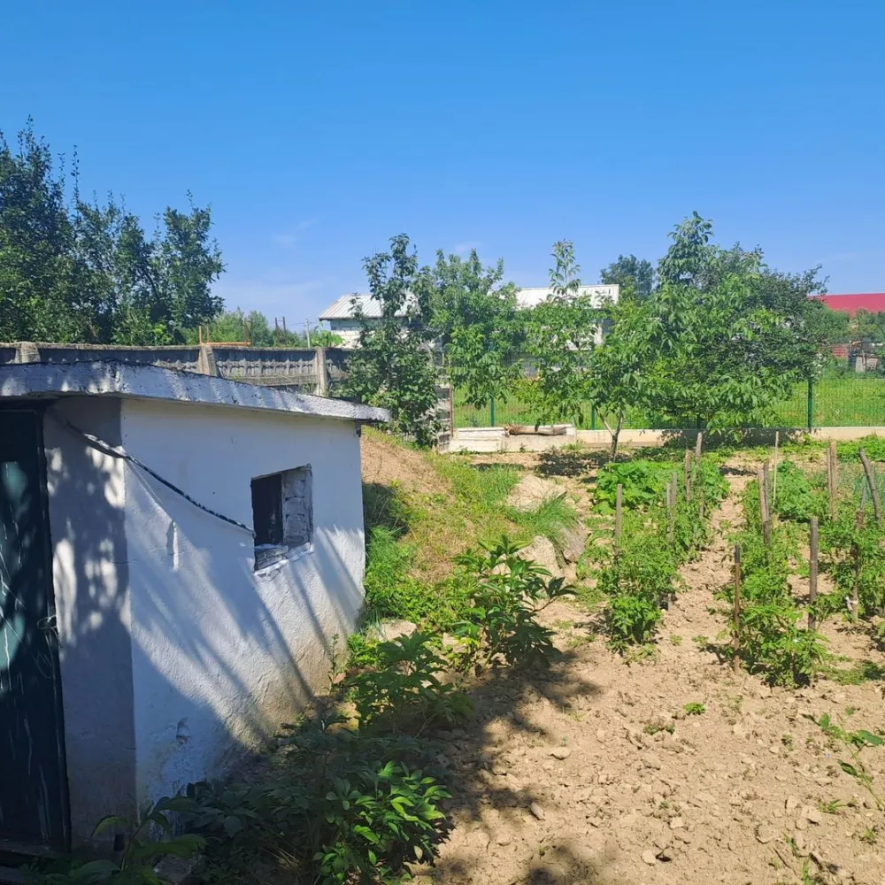 BRASADAS vinde prin REPREZENTARE EXCLUSIVA casa 8 cam 450mp.