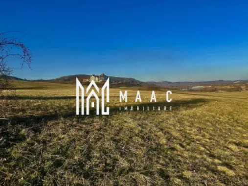 Teren cu potențial turistic I Bradu I Vedere Panoramică I 2000 MP