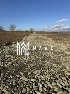 Parcele de Teren | Intravilan | PUZ Aprobat | Mohu-Șelimbăr