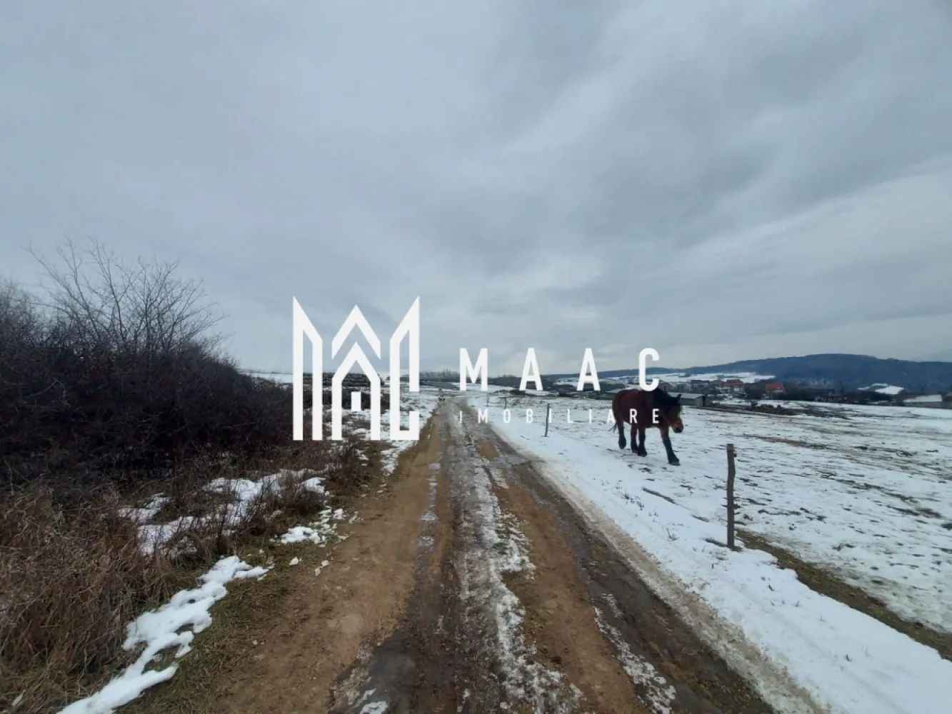 Teren 8.600 mp | Vedere panoramică| Bungard