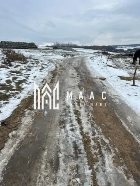 Teren 8.600 mp | Vedere panoramică| Bungard