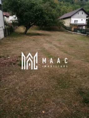 Teren Intravilan 10.000 mp | Livadă + Pădure de salcâm | Bărbătești