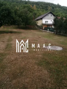 Teren Intravilan 10.000 mp | Livadă + Pădure de salcâm | Bărbătești