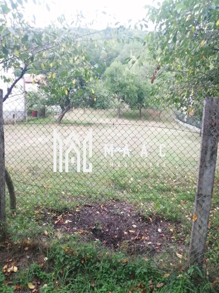 Teren Intravilan 10.000 mp | Livadă + Pădure de salcâm | Bărbătești