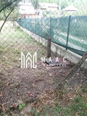 Teren Intravilan 10.000 mp | Livadă + Pădure de salcâm | Bărbătești