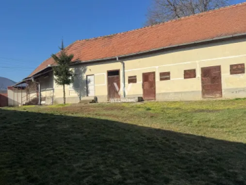 Casa individuala cu lac in curte, Sacel, Sibiu