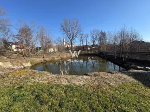 Casa individuala cu lac in curte, Sacel, Sibiu