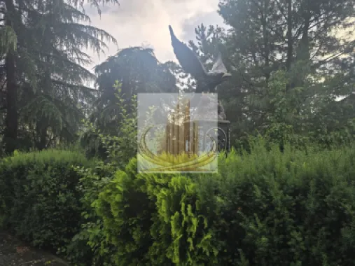 Vila exclusivista in Timisoara zona Centrala 950.000 Euro