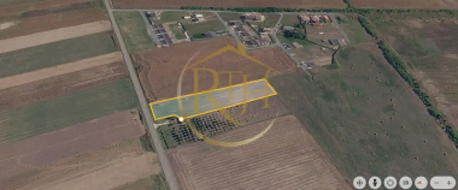 Teren intravilan 5.000 mp, Bucovăț, ideal dezvoltare case ! 0% Comision!