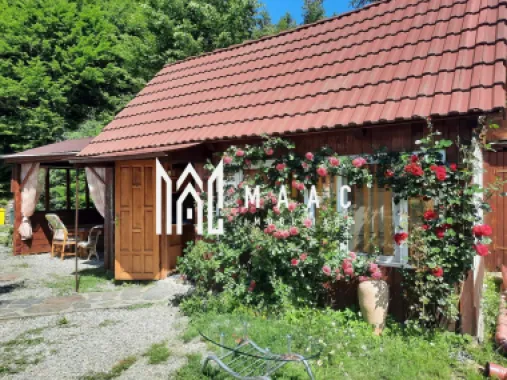 Pensiune de vânzare I Transfăgărășan, Cărțișoara, jud. Sibiu