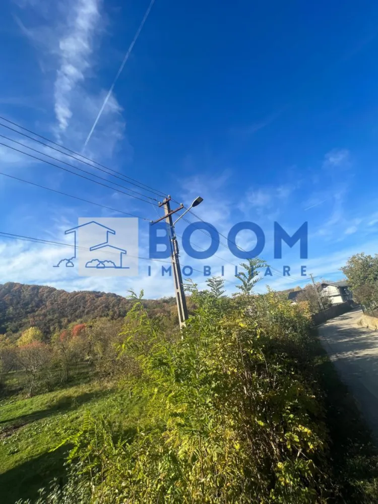 Teren | Vladesti | 1000 MP - BOOM Imobiliare vă propune spre vânzare un teren intravilan situat la intrarea în localitatea Vlădești, pe o stradă laterală, la aproximativ 400 de metri de drumul principal ce duce către Băile Olănești**.

Proprietatea oferă o suprafață totală de 1.000 mp, cu deschidere generoasă de circa 25 metri la drum, fiind potrivită pentru construcția unei case de locuit, a unei vile sau chiar a unei pensiuni.

Caracteristici principale:

* Suprafață totală: 1.000 mp
* Deschidere: aprox. 25 m
* Regim juridic: intravilan
* Teren drept, ușor accesibil
* Se poate parcela în două loturi egale de 500 mp fiecare – ideal pentru două locuințe individuale sau pentru investiție
* Utilități la limita proprietății:

 * Gaz
 * Curent electric
 * Apă
 * Canalizare

Locație:

Terenul este amplasat într-o zonă liniștită și aerisită, cu acces facil către orașul Râmnicu Vâlcea (doar câteva minute de mers cu mașina) și către stațiunea Băile Olănești.
Amplasamentul oferă un echilibru perfect între liniștea de la marginea orașului și proximitatea față de principalele puncte de interes.

O oportunitate excelentă pentru cei care doresc să construiască o locuință modernă într-o zonă verde și liniștită sau pentru investitori care caută terenuri cu potențial de dezvoltare!

Pentru mai multe detalii sau pentru programarea unei vizionări, contactați echipa BOOM Imobiliare si specificati ID: CP3195753