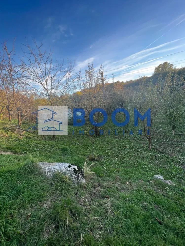 Casa cu livada | Bujoreni | 1550 mp - MAAC Imobiliare vă propune spre vânzare o casă bătrânească, situată în comuna Bujoreni, zona Gura Văii, într-un cadru natural deosebit, perfect pentru cei care își doresc liniște, aer curat și apropierea de oraș.

Proprietatea are o suprafață construită de 80 mp și este amplasată pe un teren generos de 1.550 mp, pe care se află și o livadă cu pomi fructiferi.

Caracteristici principale:

* Suprafață construită: 80 mp
* Suprafață teren: 1.550 mp
* Deschidere generoasă la drum principal
* Categorie teren: intravilan
* Utilități disponibile:

* Apă curentă
* Energie electrică
* Gazele se află la limita proprietății
* Acces facil direct din drum
* Pe teren se află o livadă bine întreținută, ideală pentru relaxare sau grădinărit

Locație:

Proprietatea este situată în Gura Văii, Bujoreni, pe drumul care duce către Mănăstirea Frăsinei, la o distanță de aproximativ 10-15 minute de Râmnicu Vâlcea.
Zona este una liniștită, cu acces facil și vecinătăți îngrijite, ideală pentru o locuință permanentă sau o casă de vacanță.

O oportunitate excelentă pentru cei care caută o proprietate cu potențial, cu deschidere generoasă la stradă, într-o zonă frumoasă și ușor accesibilă, aproape de oraș, dar în mijlocul naturii!

Pentru mai multe detalii sau pentru programarea unei vizionări, contactați echipa MAAC Imobiliare, specificand ID: CP2796900 - SP