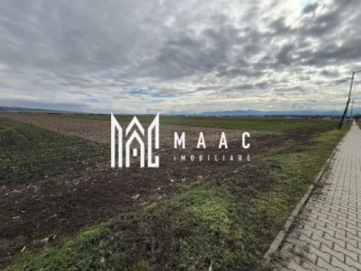 Logo MAAC IMOBILIARE logo