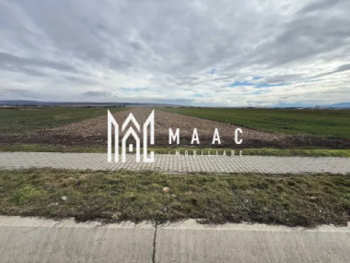 Teren intravilan | 9600 mp | Șură Mică | Utilități | Drum Asfaltat