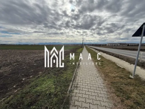 Teren intravilan | 9600 mp | Șură Mică | Utilități | Drum Asfaltat