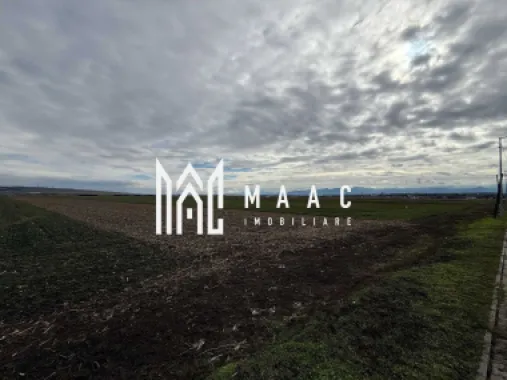 Teren intravilan | 9600 mp | Șură Mică | Utilități | Drum Asfaltat