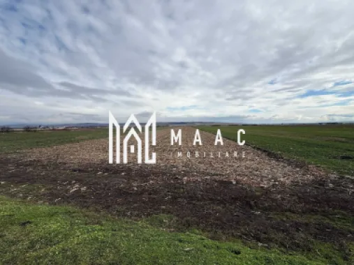 Teren intravilan | 9600 mp | Șură Mică | Utilități | Drum Asfaltat