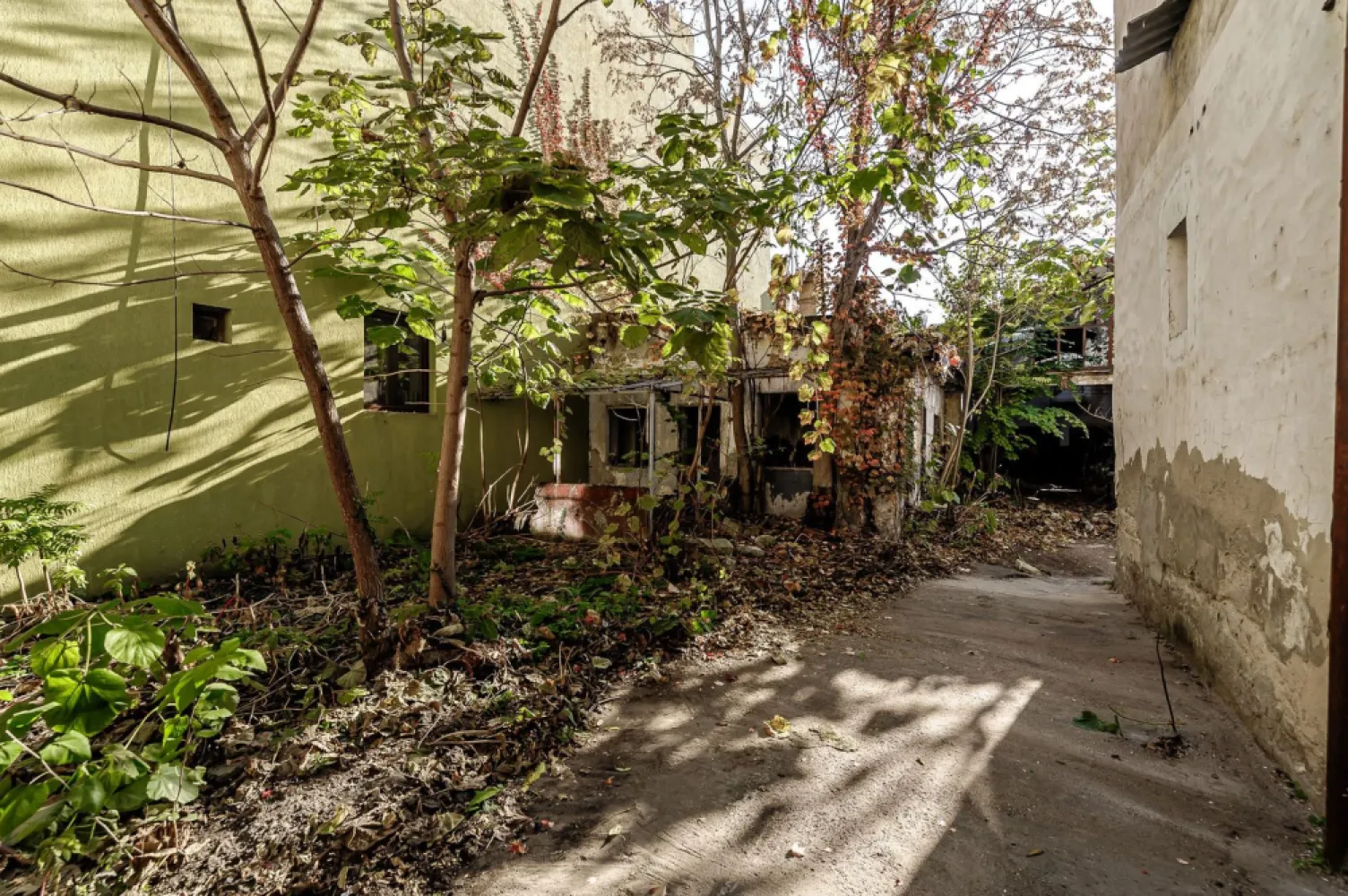 Teren de 439mp pe str. Unirii - Vând teren central cu suprafața de 439 mp, situat pe o strada Unirii din Arad, cu vad pietonal intens. Proprietatea se află aproape de teatru, restaurante și cele mai populare zone ale orașului ce oferă o oportunitate excelentă pentru dezvoltarea unui proiect cu funcționalitate mixtă, ideal pentru investitorii interesați de spații rezidențiale și comerciale într-o locație de primă clasă. Terenul dispune de racordări la apă, canalizare și curent, iar gazul este disponibil la limita proprietății. Unicitatea locației oferă un potențial ridicat pentru proiecte de succes. Contactează-ne astăzi și descoperă potențialul acestui teren excepțional! Contact:0742267773 Szuchanszki Andreea Consultant Imobiliar CP2186918 Birou: ACASĂ | Agenție imobiliară Arad Adresă: Bulevardul Decebal 2, Arad 310133 }}