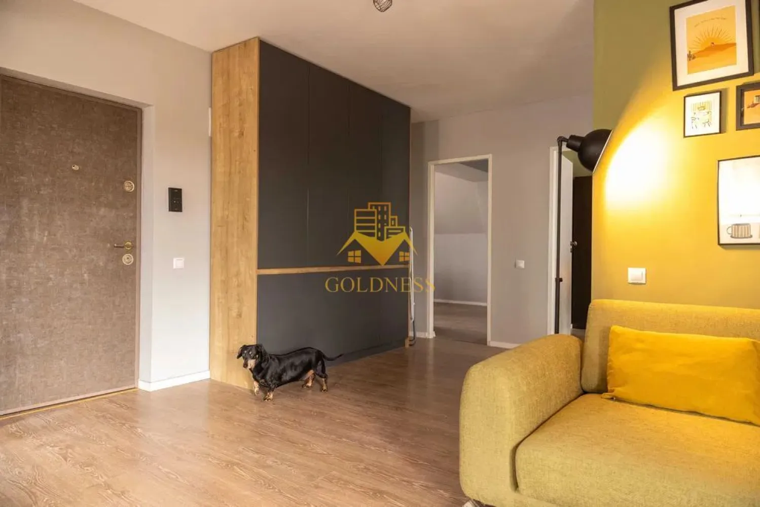 3 camere open space, Parcare, Modern, Pet Friendly, Europa