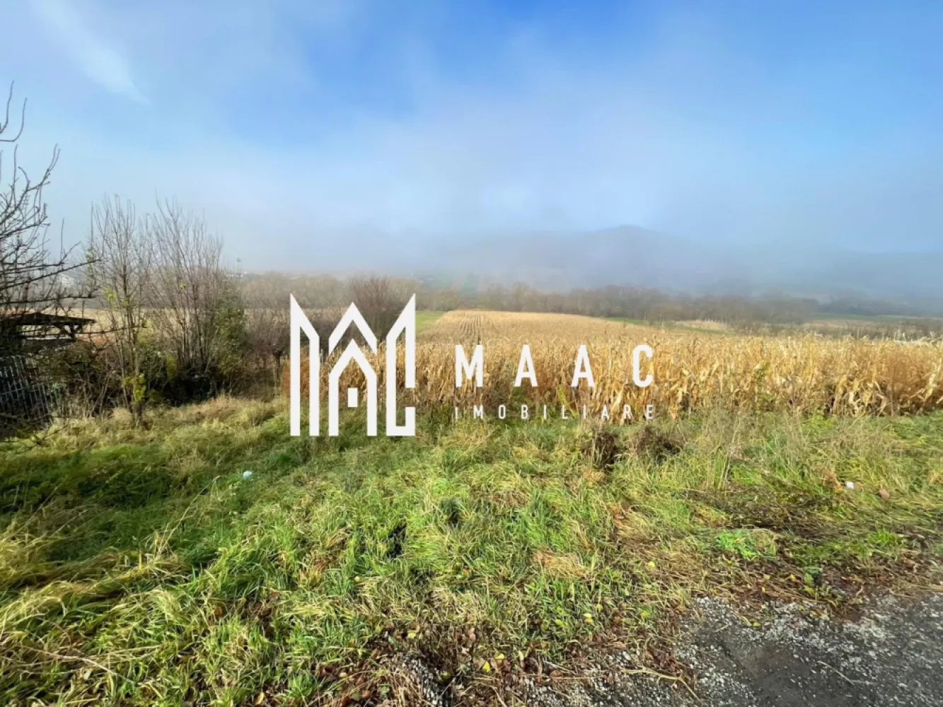 Teren 2.500 mp I Gușterița I PUZ I Aprobat I Ideal Dezvoltare - MAAC Imobiliare vă propune un teren intravilan de 2.500 mp, situat în cartierul Gușterița, pe strada Gorunului – zonă în plină dezvoltare, cu potențial ridicat pentru proiecte rezidențiale. Proprietatea dispune de PUZ aprobat, oferind claritate și predictibilitate asupra viitoarelor dezvoltări. Terenul are o deschidere de 12,30 m la strada asfaltată, iar pentru o organizare optimă, va fi traversat de un drum median, asigurând acces facil către fiecare parcelă. Posibilități de dezvoltare: – Aproximativ jumătate din suprafață este pretabilă pentru construcția de locuințe. – Cealaltă jumătate, situată spre râu, se pretează pentru proiecte de tip A-frame, construcții modulare sau unități tip container – ideal pentru un concept de cabane de vacanță, retreat sau micro-resort. Utilități: Toate utilitățile (apă, gaz, curent, canalizare) sunt disponibile vis-a-vis de proprietate, facilitând racordarea. O oportunitate excelentă pentru dezvoltatori sau investitori care caută un teren versatil, cu documentație urbanistică clară și poziționare strategică într-o zonă în expansiune. Pentru detalii suplimentare, consultanță sau programarea unei vizionări, va rugăm să ne contactati specificand ID: CP2829783. }}