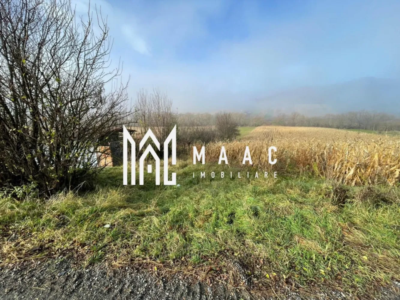 Teren 2.500 mp I Gușterița I PUZ I Aprobat I Ideal Dezvoltare - MAAC Imobiliare vă propune un teren intravilan de 2.500 mp, situat în cartierul Gușterița, pe strada Gorunului – zonă în plină dezvoltare, cu potențial ridicat pentru proiecte rezidențiale. Proprietatea dispune de PUZ aprobat, oferind claritate și predictibilitate asupra viitoarelor dezvoltări. Terenul are o deschidere de 12,30 m la strada asfaltată, iar pentru o organizare optimă, va fi traversat de un drum median, asigurând acces facil către fiecare parcelă. Posibilități de dezvoltare: – Aproximativ jumătate din suprafață este pretabilă pentru construcția de locuințe. – Cealaltă jumătate, situată spre râu, se pretează pentru proiecte de tip A-frame, construcții modulare sau unități tip container – ideal pentru un concept de cabane de vacanță, retreat sau micro-resort. Utilități: Toate utilitățile (apă, gaz, curent, canalizare) sunt disponibile vis-a-vis de proprietate, facilitând racordarea. O oportunitate excelentă pentru dezvoltatori sau investitori care caută un teren versatil, cu documentație urbanistică clară și poziționare strategică într-o zonă în expansiune. Pentru detalii suplimentare, consultanță sau programarea unei vizionări, va rugăm să ne contactati specificand ID: CP2829783. }}