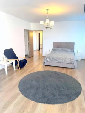 De inchiriat - apartament cu o camera, 47 mp - Faleza Dunarii