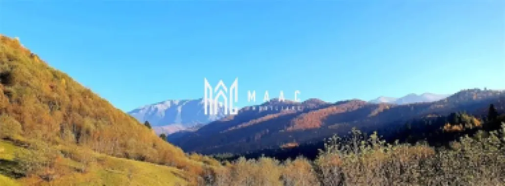 Logo MAAC IMOBILIARE logo
