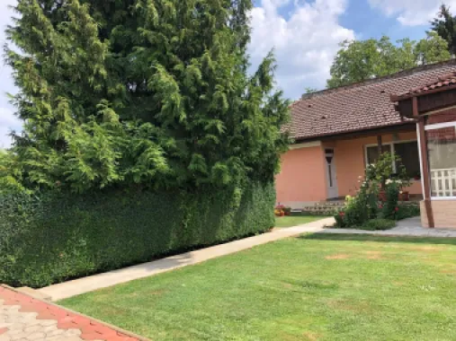 BRASADAS vinde casa cu 7 camere si teren 1100mp in zona Burdea.