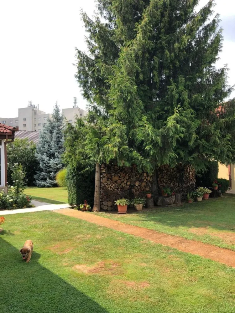 BRASADAS vinde casa cu 7 camere si teren 1100mp in zona Burdea.