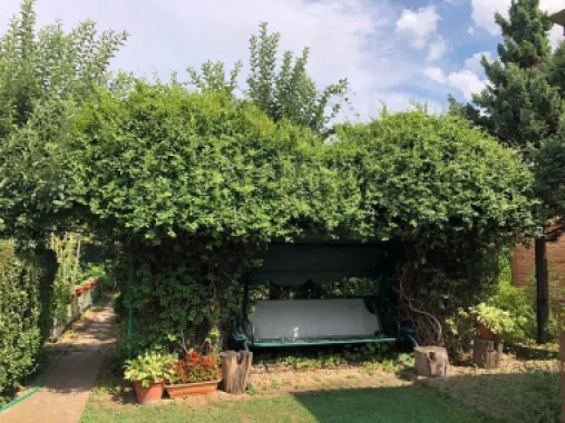 BRASADAS vinde casa cu 7 camere si teren 1100mp in zona Burdea.