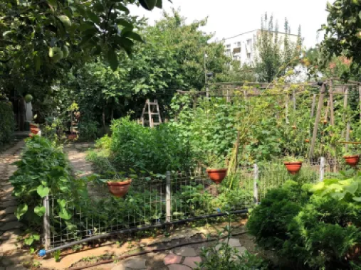 BRASADAS vinde casa cu 7 camere si teren 1100mp in zona Burdea.