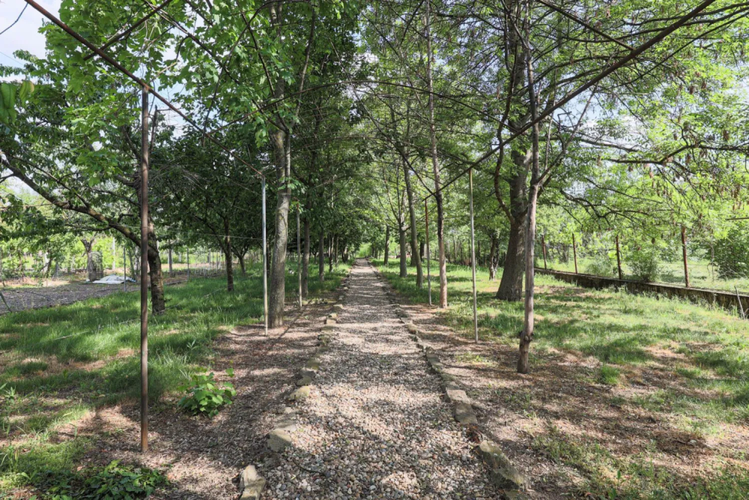 Vilă 5 camere Grădiște | 2 corpuri | 0% comision. Preț negociabil!