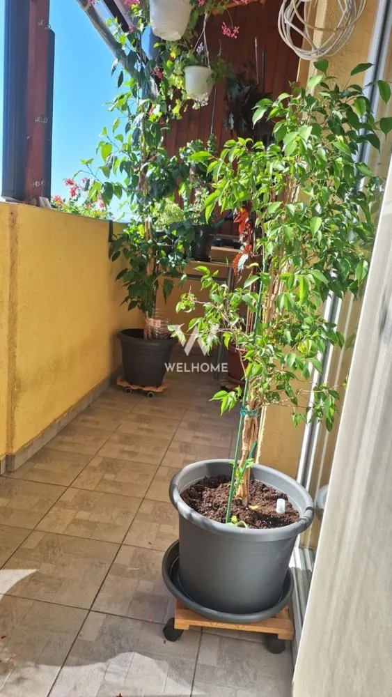 Apartament 2 camere cu POD generos - Selimbar, Triajului