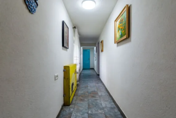 Casă modernă (2021) – Priveliște panoramică spre Lunca Mureșului