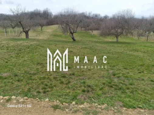 Logo MAAC IMOBILIARE logo