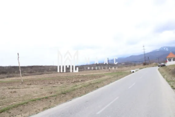 Oportunități de Investiție în Terenuri Sebesul de Sus