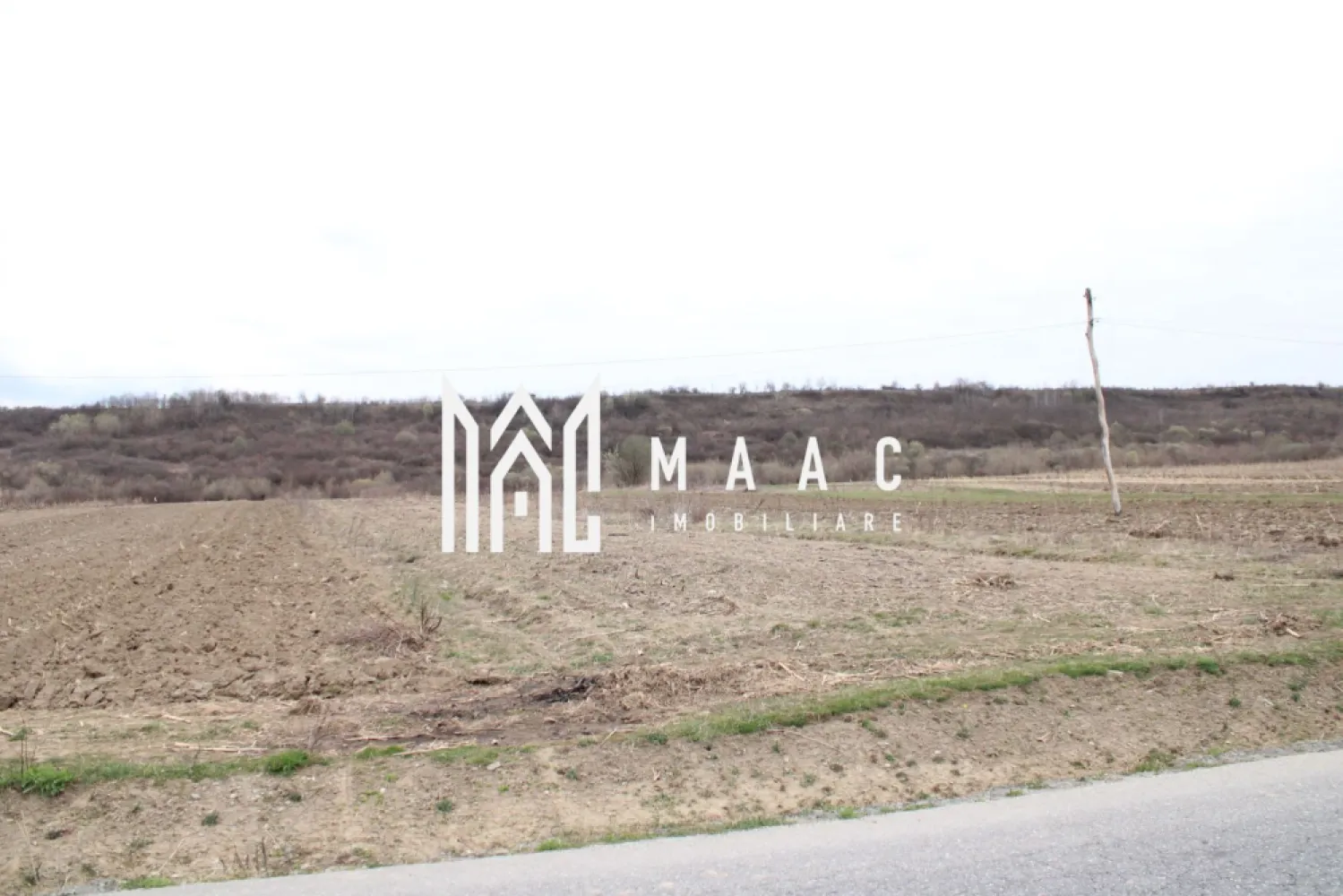 Oportunități de Investiție în Terenuri Sebesul de Sus